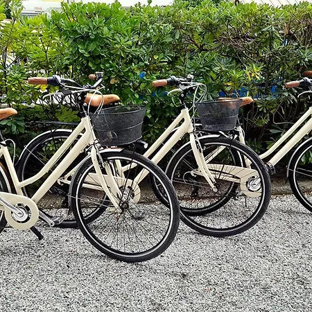 Апартаменты Ampio, Elegante Con Aria Condizionata E Bici Gratis Виареджо