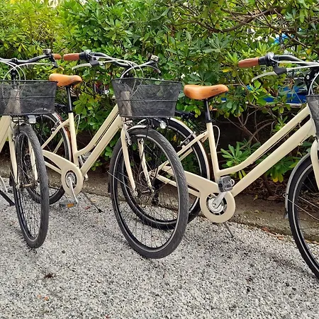 Ampio, Elegante Con Aria Condizionata E Bici Gratis Appartamento