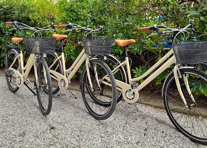 Ampio, Elegante Con Aria Condizionata E Bici Gratis 公寓