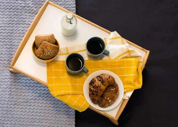 Ampio, Elegante Con Aria Condizionata E Bici Gratis 公寓 *